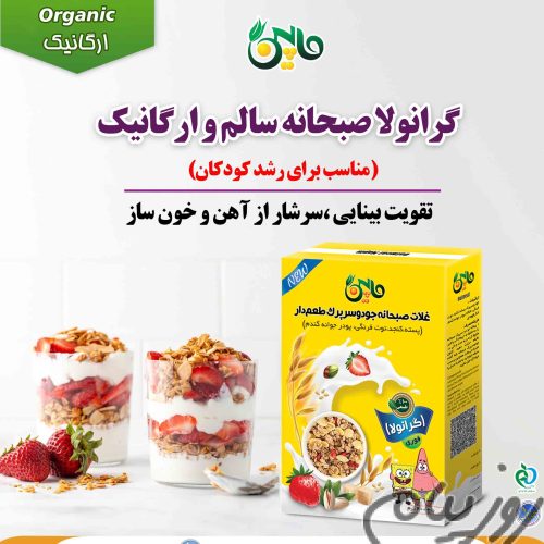 خرید گرانولا مناسب برای کودک